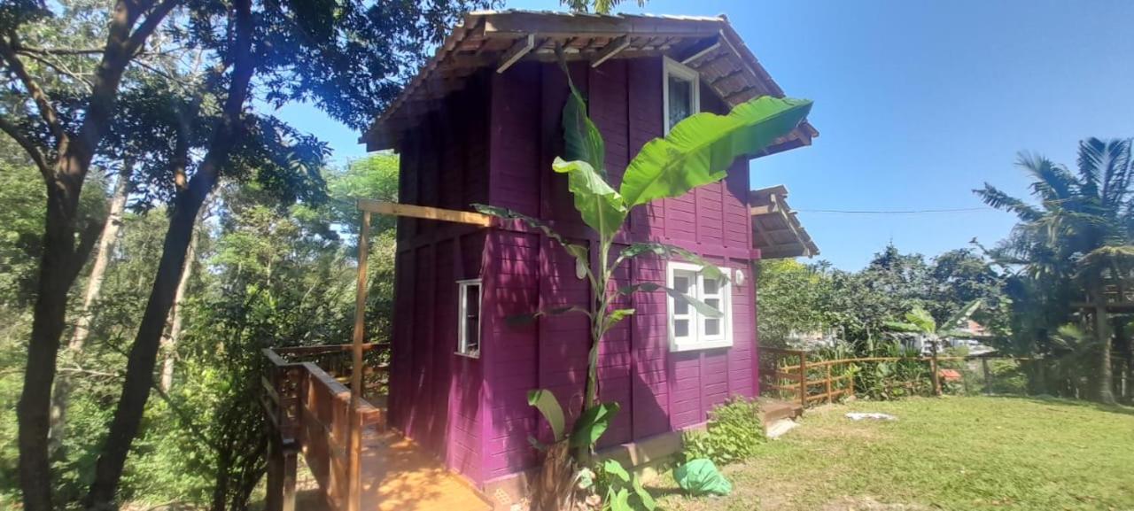 Violeta Aquarela Bombinhas Villa Exteriör bild