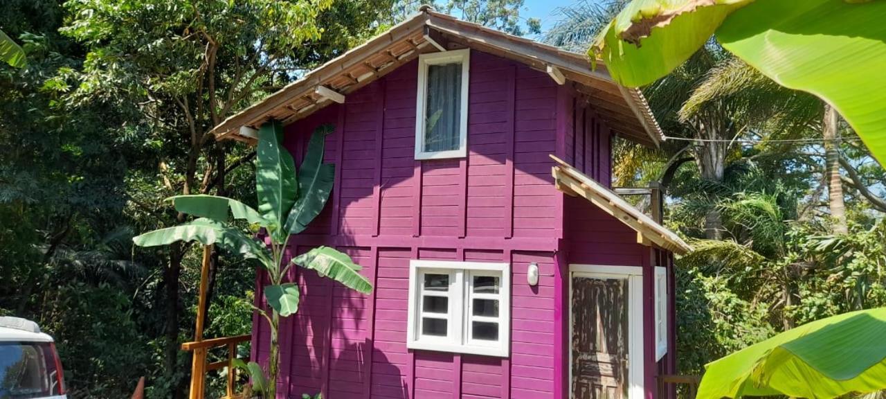 Violeta Aquarela Bombinhas Villa Exteriör bild